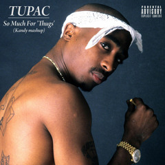 Gramatik X Tupac - So Much For Thugs (Kandy Mashup)
