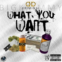What You Want Prod. By CITOONTHEBEAT #DJYoungSExclusive