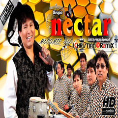 Dj Christian Remix -  Grupo Nectar (MegamixRadioEdit)