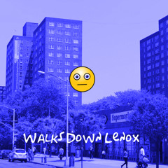 Walks Down Lenox