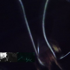 E.B persona X Ji Ghast = AQUA PHONICS