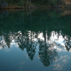 You Won't Know I'm Dying