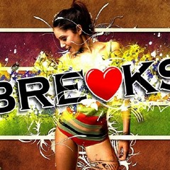 Breakbeat Hits 2011 (Conntinuous DJ Zmey Mix)