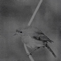 Instrumental rap - peligro