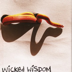 Wicked Wisdom - Bleed All Over Me