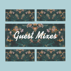 Guest Mixes