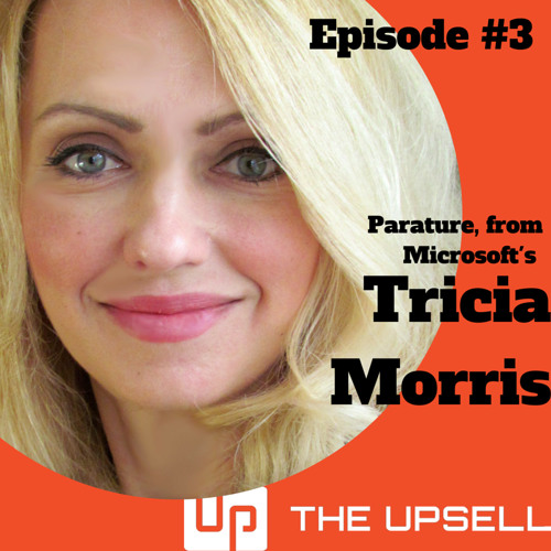 Stream Episode 3 Interview With Parature s Tricia Morris By CX 