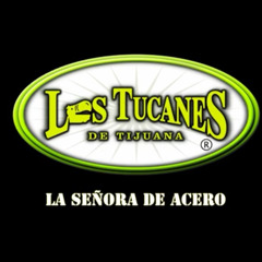 -Los Tucanes de Tijuana La Señora Acero  2015