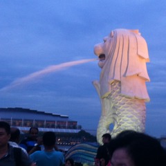 Nhạc (^=˃ᆺ˂)