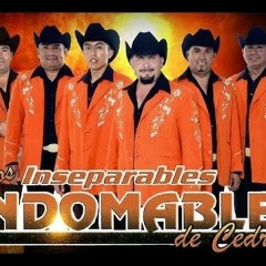 ~*~*~*Los Indomables Del Cedral Mix - Dj Erik~*~*~*