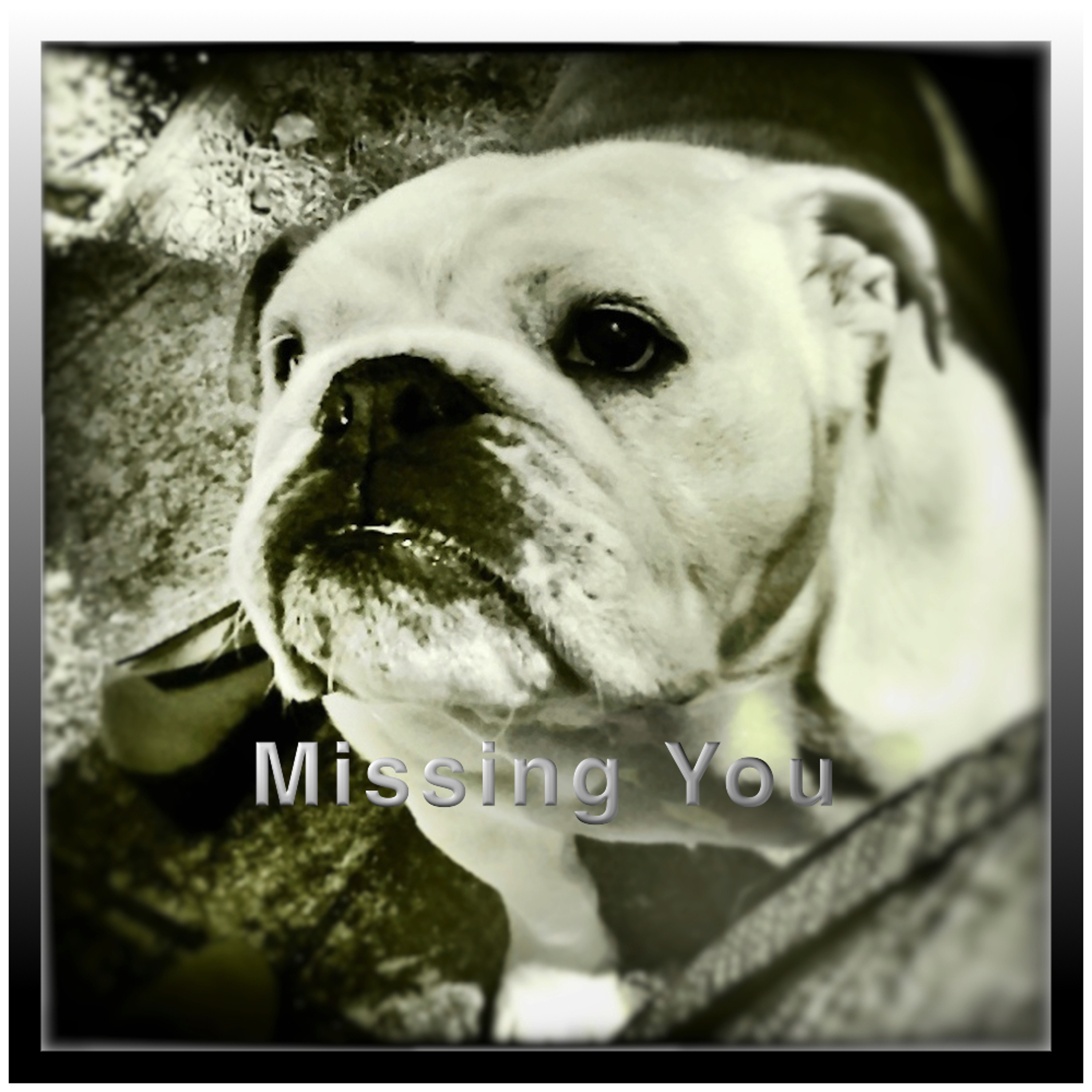 Missing You episode artwork