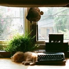 Relaxdaily - N°025