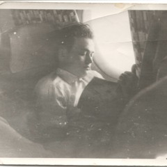 No Survival Vibrations (No Birds Re-Edit)