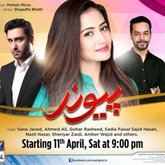 Paiwand OST Title Song on Ary Digital