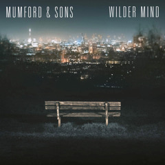 THE WOLF By Mumford And Sons (ElectroSash RMX)