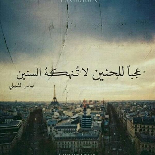 Ismaeel Mubarak … Shoo2