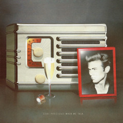 Semi Precious - Days of Night