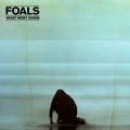 Foals What&#x20;Went&#x20;Down Artwork