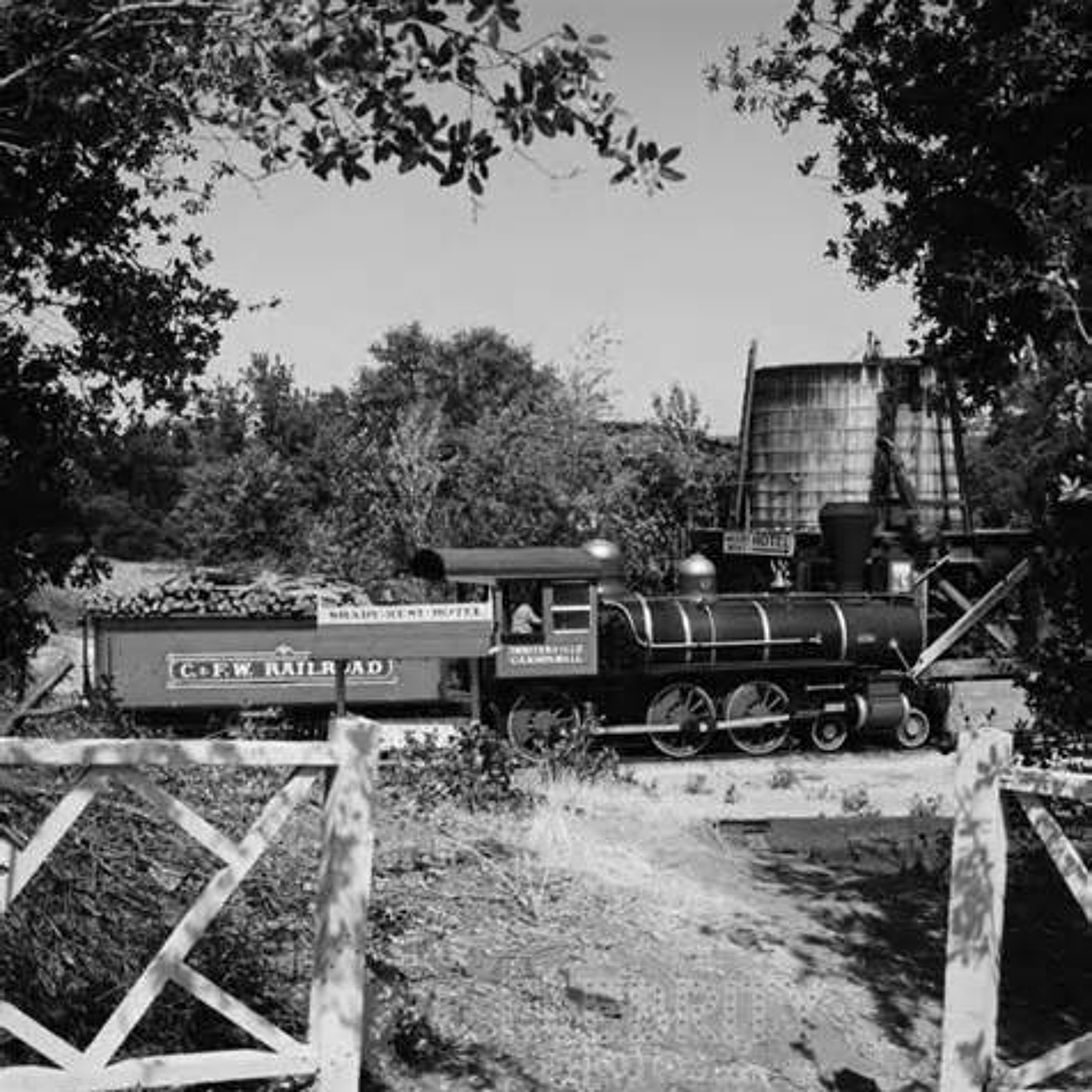 The Petticoat Junction Express episode artwork