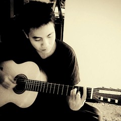 Persona - The Poem Of Everyone's Souls - Fingerstyle Guitar