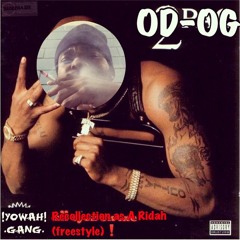 Recollection as a Ridah (Freestyle)