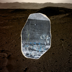 Niño Árbol - La ciudad que capturó el sol