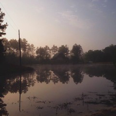 Coward -  Live from the Swamp