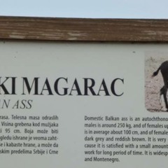 n.n. osoba ili ..