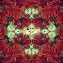 Hayden James Something About You ( Vade A Vans Remix )