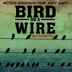 Action Bronson ft. Riff Raff - Bird On A Wire (Instrumental)[Prod. By Harry Fraud]