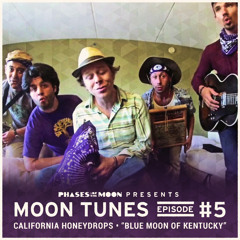 The California Honeydrops - Blue Moon Of Kentucky [Moon Tunes - Live]