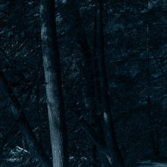 obscured