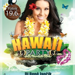 Hawai Party 2015