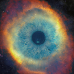 parralel universe