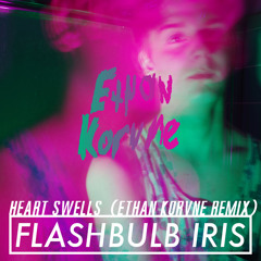 flashbulb iris - heart swells (ethan korvne remix)