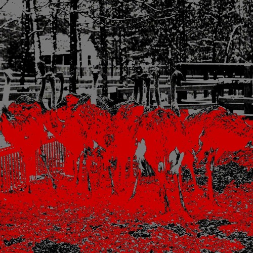 Her Life Of Artistic Freedom (radio session)