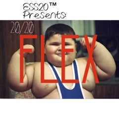 20/20 (Flex Cover)