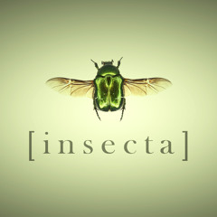[Live] Æmeth feat. Dome Mastiff @INSECTA, Rampa Prenestina - Roma 12/06/2015