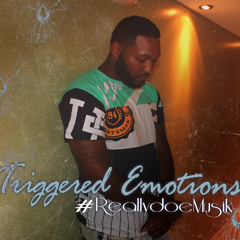 Rudeboy Beezee- Triggered Emotions