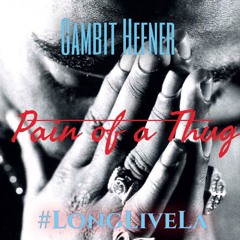 Gambit Hefner - Pain Of A Thug #LONGLIVELA