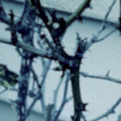 Choke (Prod. deaf notes.)