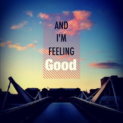 Nina Simone   Feeling Good (Simon Field Remix)