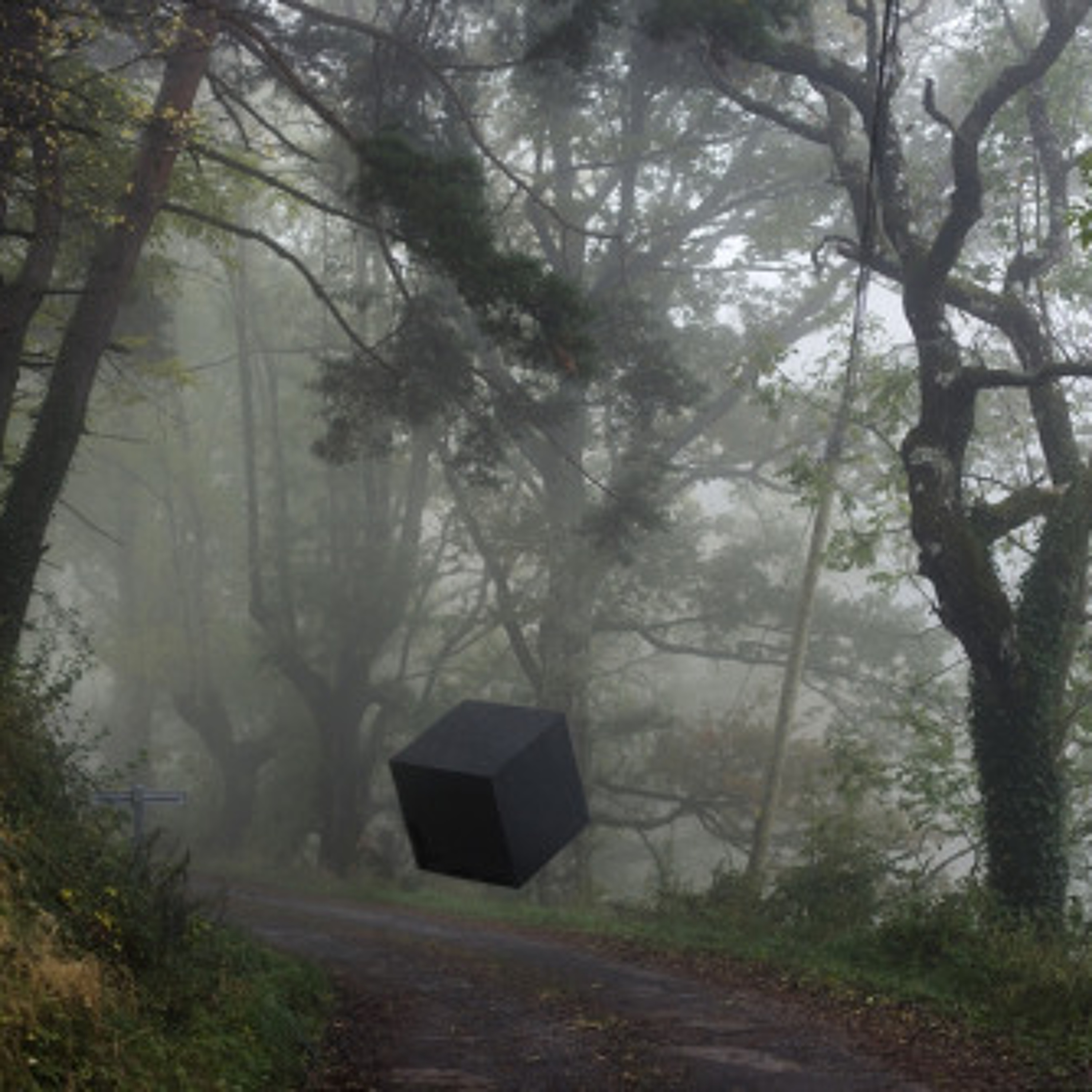 Forest guests episode artwork