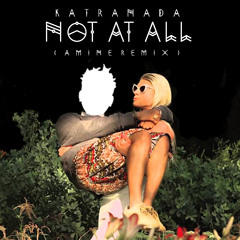 Not At All - Kaytranada (Aminé Remix)