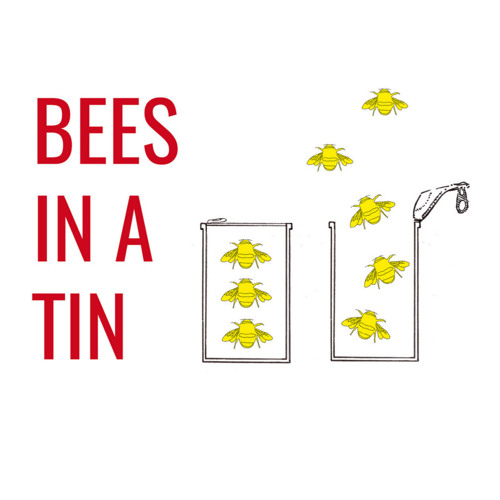 Audio from presentations at Bees in a Tin 2015