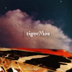 tigerMos 1st album "TIGERMOS " trailer