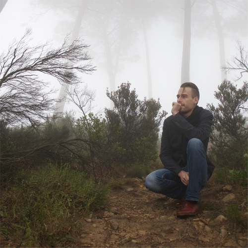 Diynamic Radio Show June 2015 by Stimming