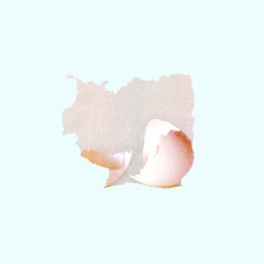 [[ Live Album Out Now ]] Kinda Strange / You (My Disco) + TNMN (The Ting Tings)