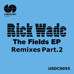 Beautiful World(Creative Swing Alliance Remix) - Rick Wade