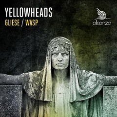 The YellowHeads-Gliese (Original Mix)